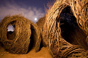 Patrick Dougherty's sculpture