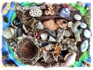 Collecting makes creating nature mandalas joyfully easy.