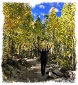 Gathering things for Nature Mandalas