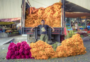 The aroma of marigolds is everywhere. 