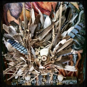 Feathers always stop me in my tracks - mindful creativity