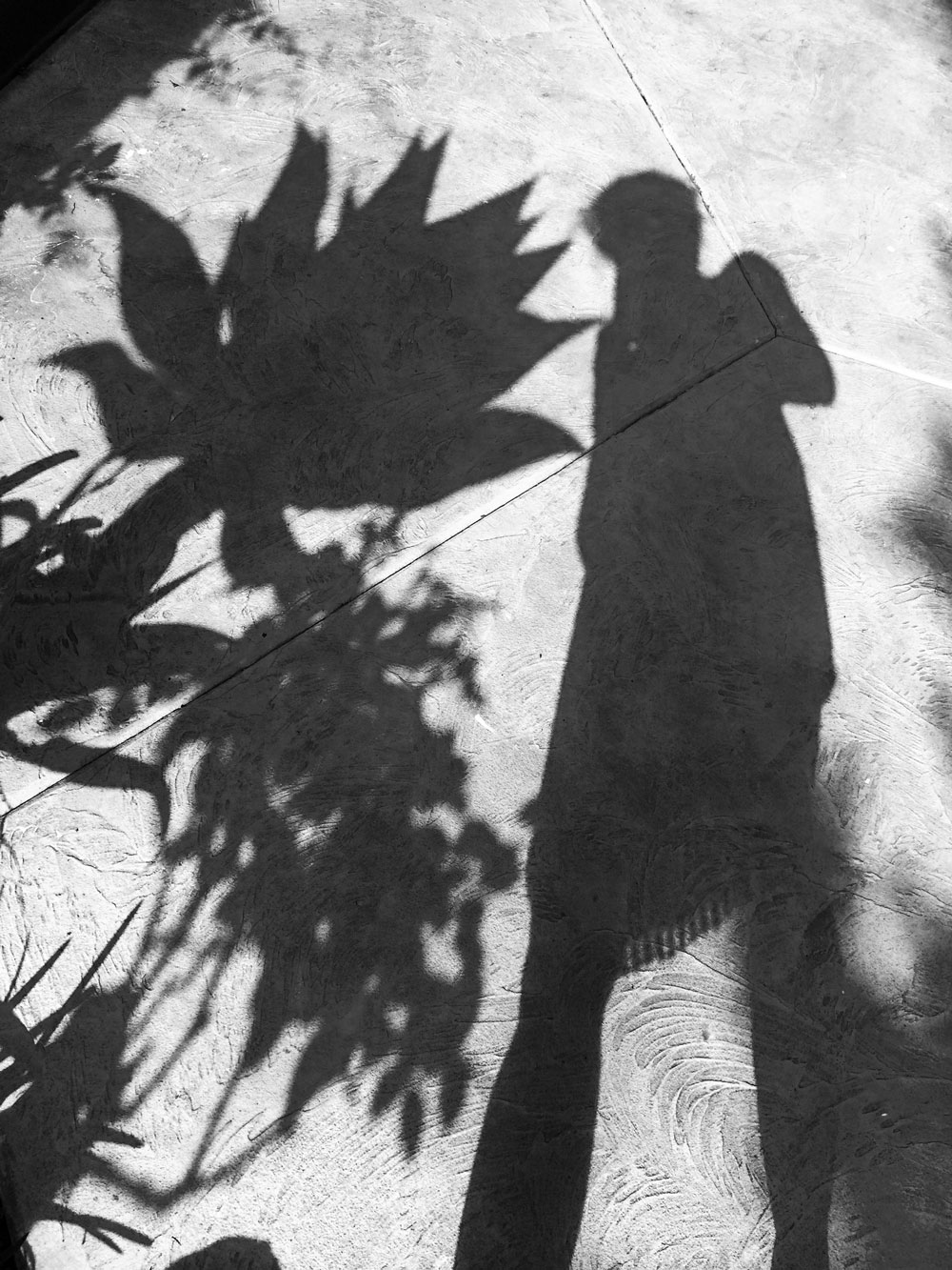 Shadow of a person holding a camera on textured ground